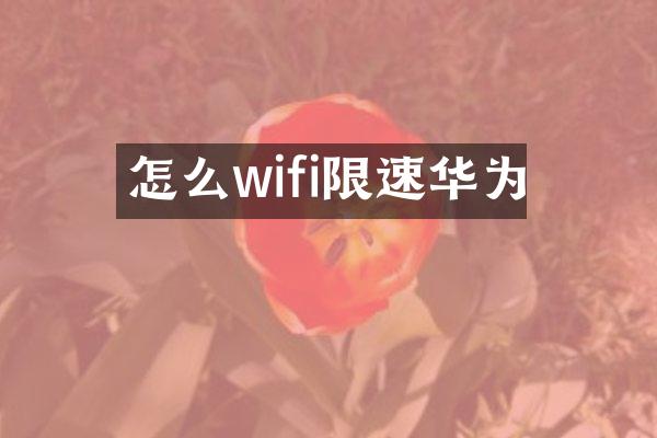 怎么wifi限速华为