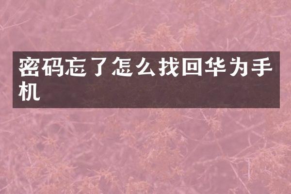 密码忘了怎么找回华为手机