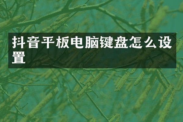 抖音平板电脑键盘怎么设置