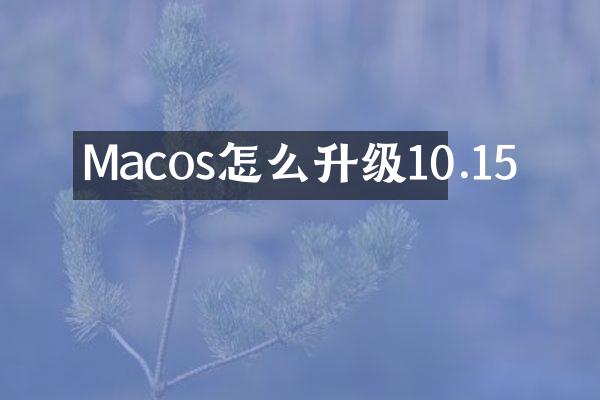 Macos怎么升级10.15