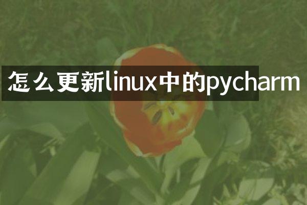 怎么更新linux中的pycharm