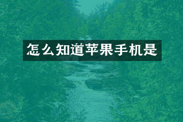 怎么知道苹果手机是