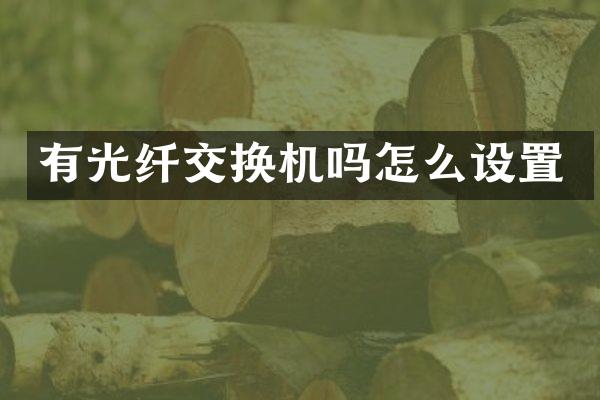 有光纤交换机吗怎么设置