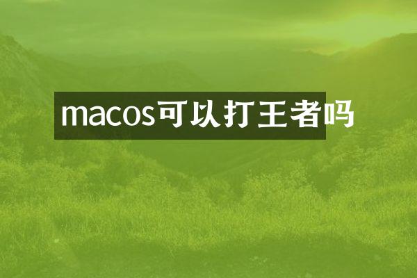 macos可以打王者吗