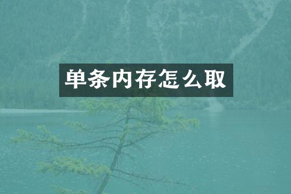 单条内存怎么取