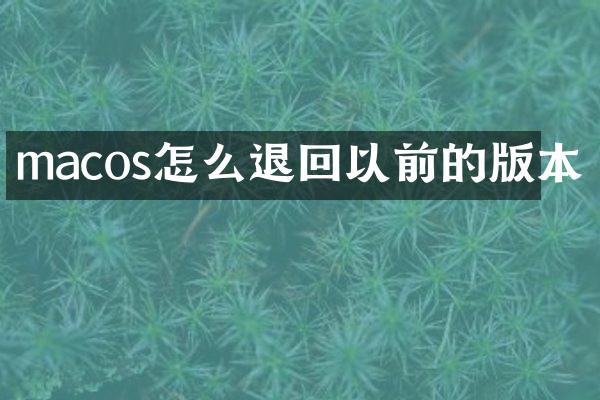 macos怎么退回以前的版本
