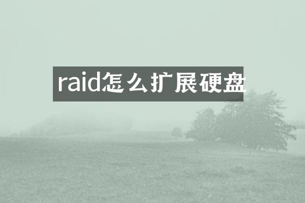 raid怎么扩展硬盘