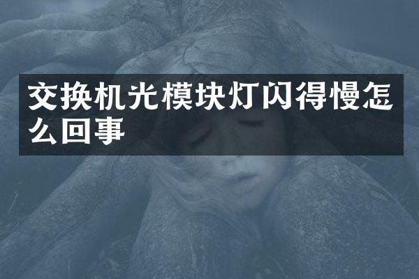 交换机光模块灯闪得慢怎么回事