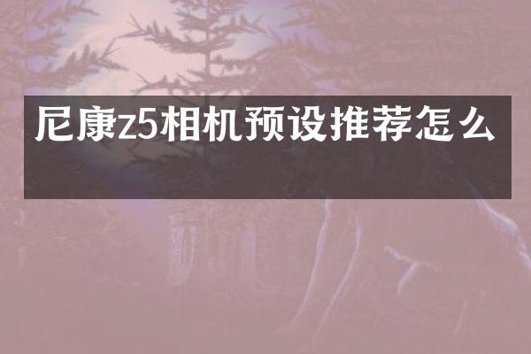 尼康z5相机预设推荐怎么关
