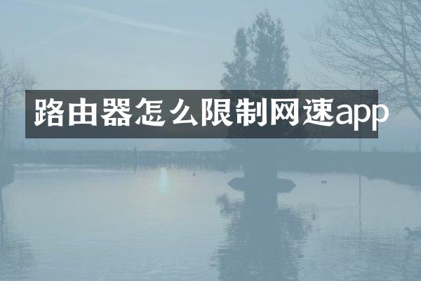 路由器怎么限制网速app