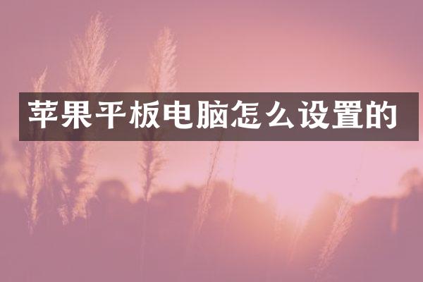 苹果平板电脑怎么设置的