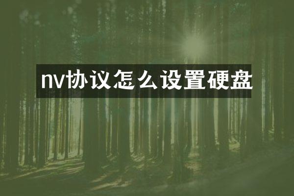 nv协议怎么设置硬盘