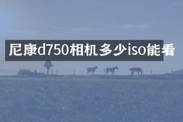 尼康d750相机多少iso能看