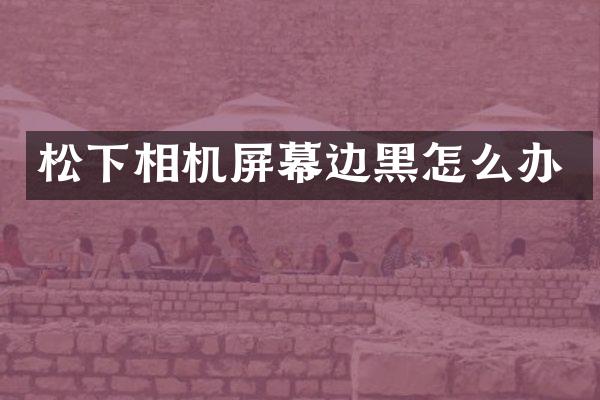 松下相机屏幕边黑怎么办