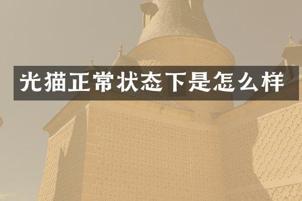 光猫正常状态下是怎么样