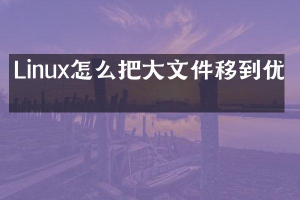 Linux怎么把大文件移到优盘