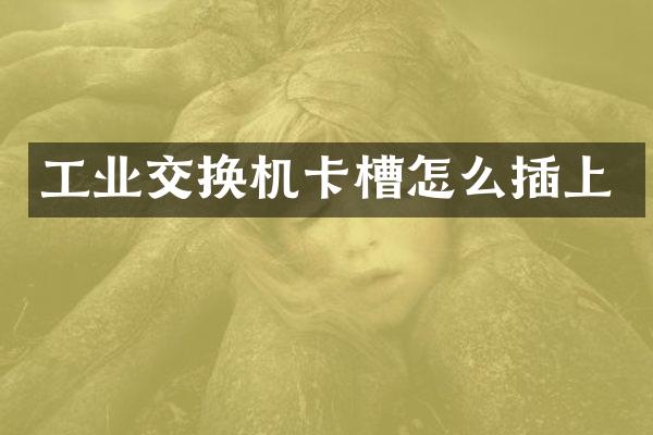 工业交换机卡槽怎么插上