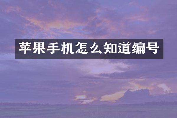 苹果手机怎么知道编号