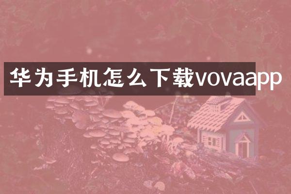 华为手机怎么下载vovaapp