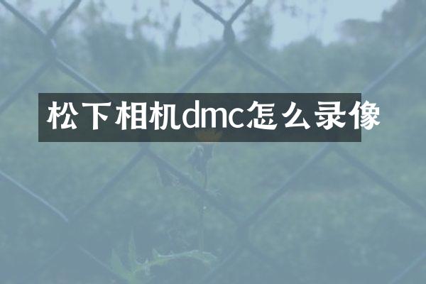 松下相机dmc怎么录像