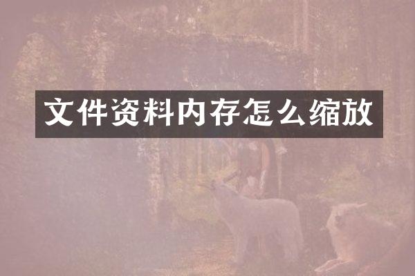 文件资料内存怎么缩放