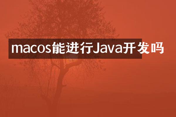 macos能进行Java开发吗