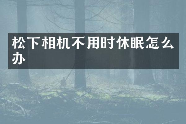 松下相机不用时休眠怎么办
