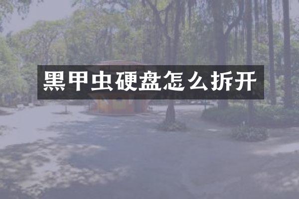 黑甲虫硬盘怎么拆开