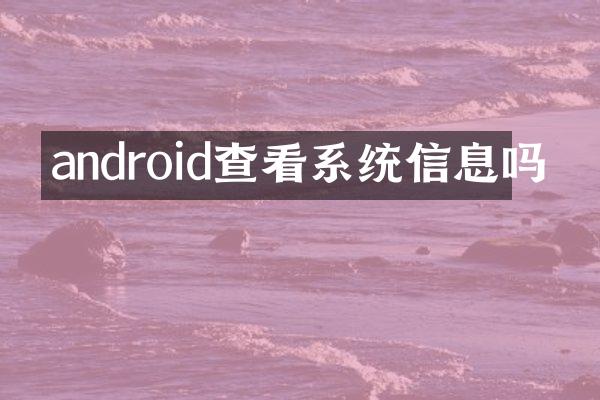 android查看系统信息吗