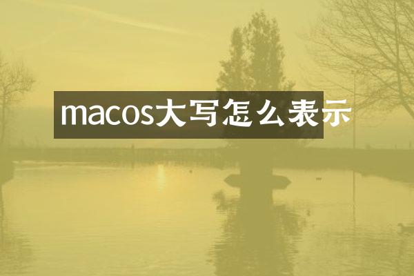 macos大写怎么表示