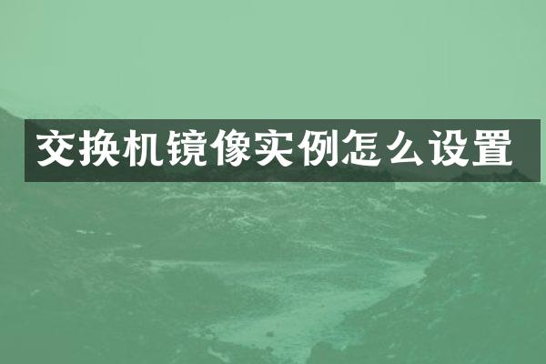 交换机镜像实例怎么设置