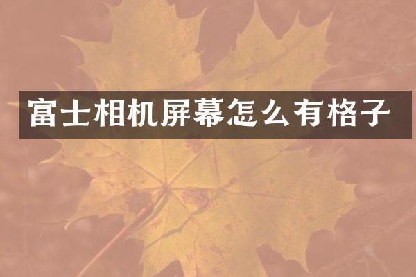 富士相机屏幕怎么有格子