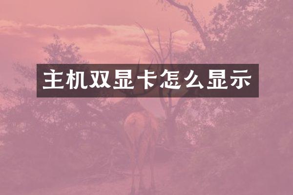 主机双显卡怎么显示
