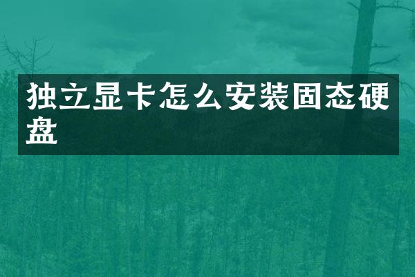 独立显卡怎么安装固态硬盘