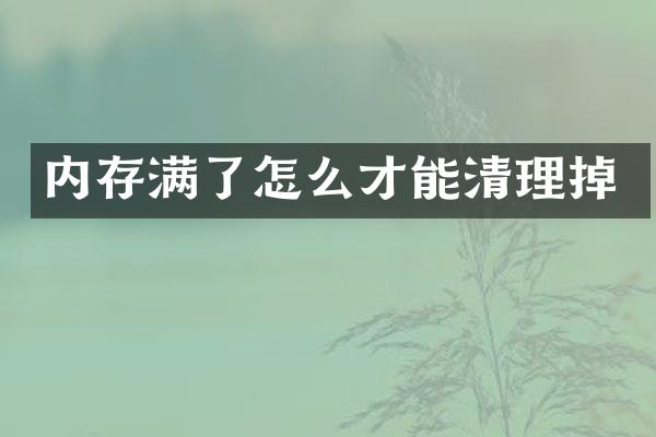 内存满了怎么才能清理掉