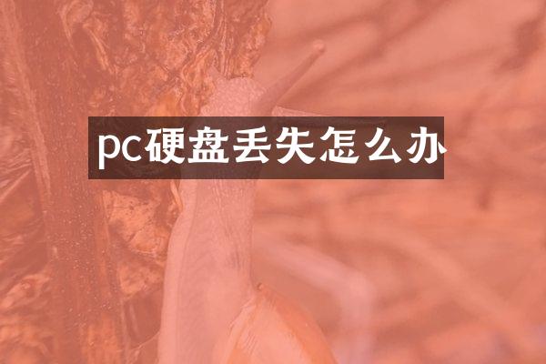pc硬盘丢失怎么办