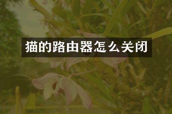 猫的路由器怎么关闭