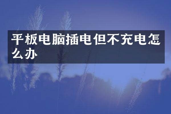 平板电脑插电但不充电怎么办