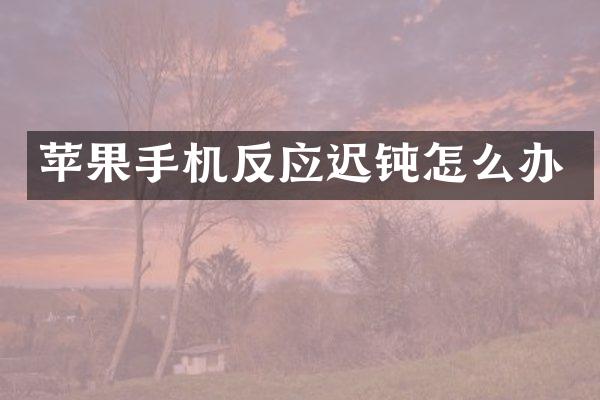 苹果手机反应迟钝怎么办