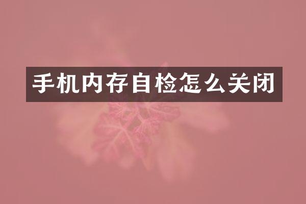 手机内存自检怎么关闭
