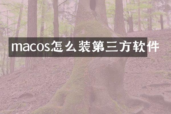 macos怎么装第三方软件
