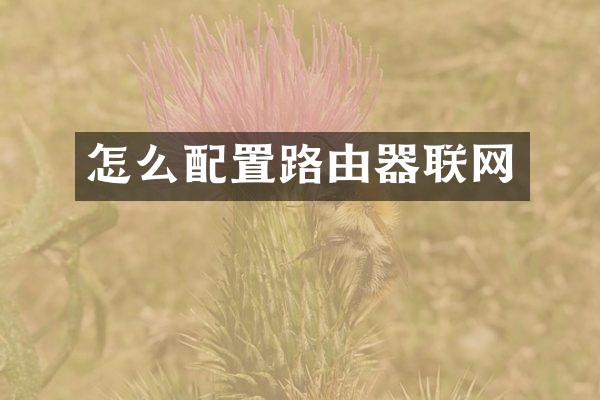 怎么配置路由器联网