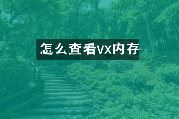 怎么查看vx内存