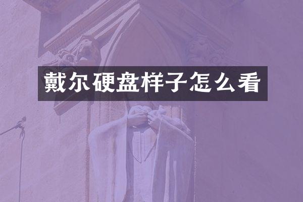 戴尔硬盘样子怎么看