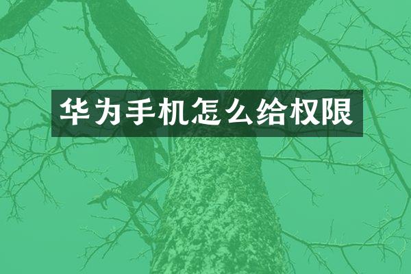 华为手机怎么给权限