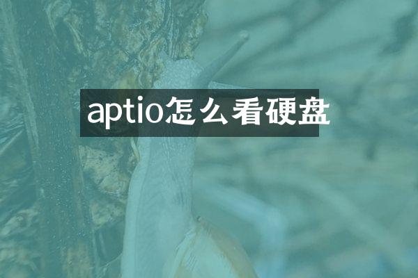 aptio怎么看硬盘