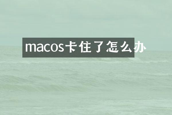 macos卡住了怎么办