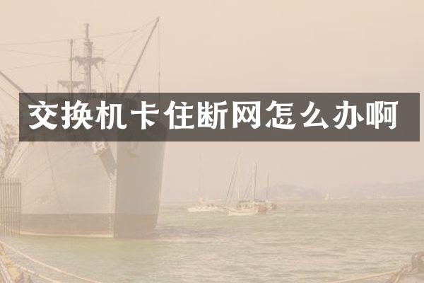 交换机卡住断网怎么办啊