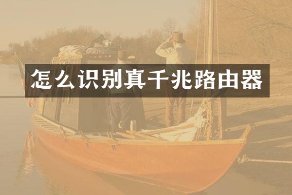 怎么识别真千兆路由器