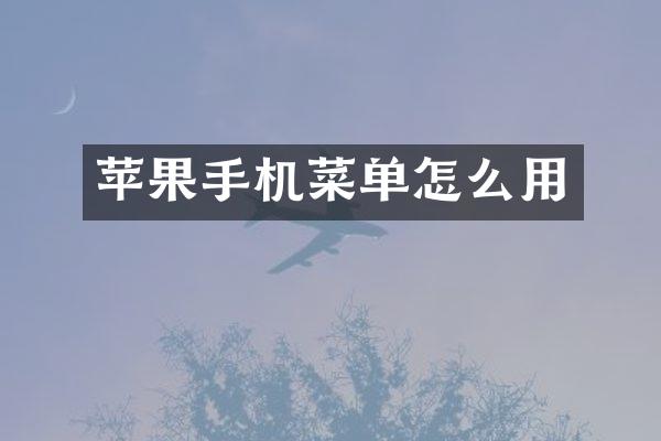 苹果手机菜单怎么用